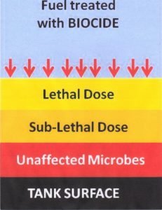 Effects of Biocide